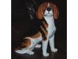 Beswick Very Large Beagle Dog Figure