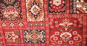 tradititional axminster carpet bargain