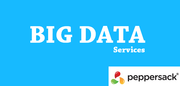 Expert Big Data Services 