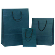 Beautiful Coloured Paper Bags