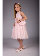 Flower girl dresses- pink or royal blue?