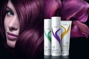Hairdressing Wholesalers in Norwich - Ph.No. 01473748999