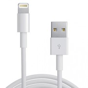 iPhone 5 Data Cable | iPad & Mobile Accessories