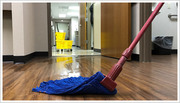 Hire Professional Cleaners for Daily Office Cleaning