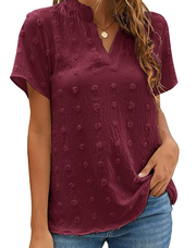 Womens T Shirt V Neck Ladies Summer Tops Short Sleeve Casual T Shirts