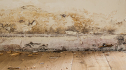 Revitalize Your Space with Damp 2 Dry Solution's Premier Rising Damp S