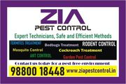Zia Pest control  IN THE WORLD COPY PAST JOB